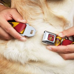 Buckle-Down Seatbelt Buckle Gryffindor Crest Diagonal Stripe Dog Collar, Gold & Red, 16-23-in slide 2 of 8