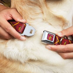 Buckle-Down Seatbelt Buckle Harry Potter Gryffindor Crest Plaid Dog Collar, Red & Gold, 9.5-13-in slide 2 of 8