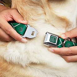 Buckle-Down Seatbelt Buckle Harry Potter Slytherin Crest Plaid Greens Dog Collar, Grey, 11-16.5-in slide 2 of 8
