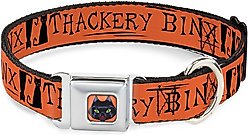 Buckle-Down Seatbelt Buckle Hocus Pocus Thackery Binx Cat Silhouette Dog Collar, Orange & Black, 11-16.5-in
