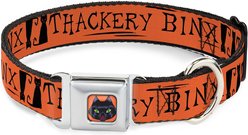 Buckle-Down Seatbelt Buckle Hocus Pocus Thackery Binx Cat Silhouette Dog Collar, Orange & Black, 13-17-in