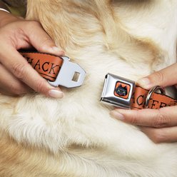 Buckle-Down Seatbelt Buckle Hocus Pocus Thackery Binx Cat Silhouette Dog Collar, Orange & Black, 9.5-13-in slide 2 of 8