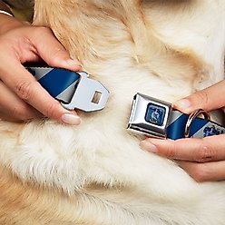 Buckle-Down Seatbelt Buckle Ravenclaw Crest Diagonal Stripe Dog Collar, Gray & Blue, 13-17-in slide 2 of 8