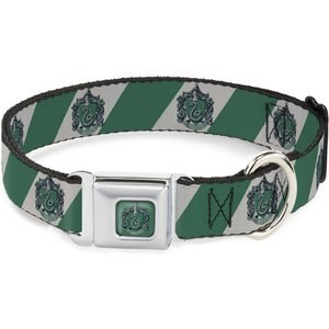Buckle-Down Seatbelt Buckle Slytherin Crest Diagonal Stripe Dog Collar, Gray & Green, 15-24-in