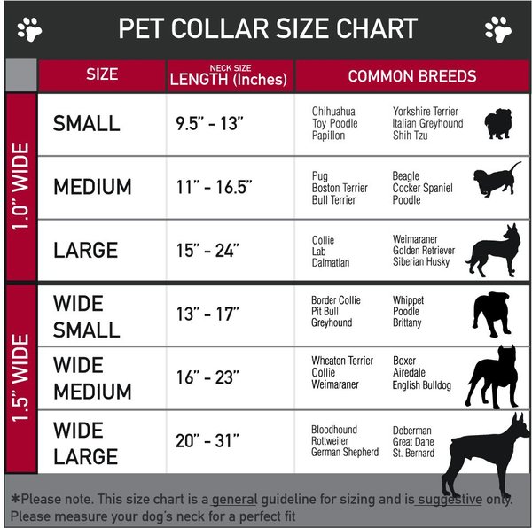 Show full view: Buckle-Down Seatbelt Buckle Slytherin Crest Diagonal Stripe Dog Collar, Gray & Green, 15-24-in slide 3 of 9