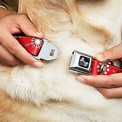 Buckle-Down Snowflakes Dog Collar, Red, Wide-Medium slide 2 of 9