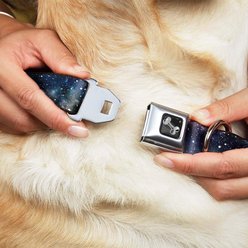 Buckle-Down Space Dust Seatbelt Buckle Dog Collar, Medium slide 2 of 8