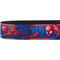 Show in main carousel: Buckle-Down Spider-Man Action Poses Seatbelt Buckle Dog Collar, Wide Medium slide 5 of 11