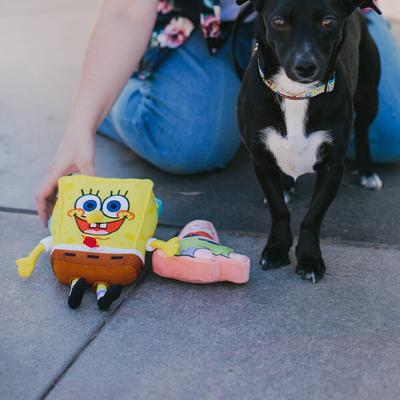 Show full view: Buckle-Down SpongeBob Full Body with Arms & Legs Dog Plush Squeaker Toy  slide 4 of 6