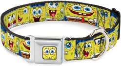 Buckle-Down SpongeBob Polyester Seatbelt Buckle Dog Collar, Large: 15 to 26-in neck, 1-in wide