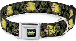 Buckle-Down SpongeBob SquarePants Polyester Dog Collar, Large: 15 to 26-in neck, 1-in wide