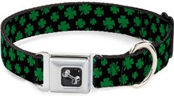 Buckle-Down St. Pat's Clovers Dog Collar, Medium, Black