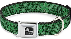 Buckle-Down St. Pat's Clovers Dog Collar, Medium, Green