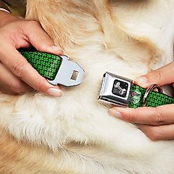 Buckle-Down St. Pat's Clovers Dog Collar, Wide-Small, Green slide 2 of 9