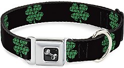 Buckle-Down St. Pat's Dog Collar, Small