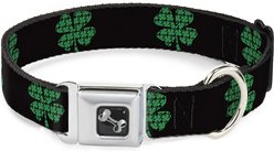 Buckle-Down St. Pat's Dog Collar, Wide-Large