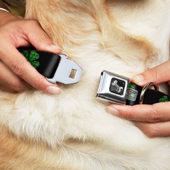 Buckle-Down St. Pat's Dog Collar, Wide-Large slide 2 of 9