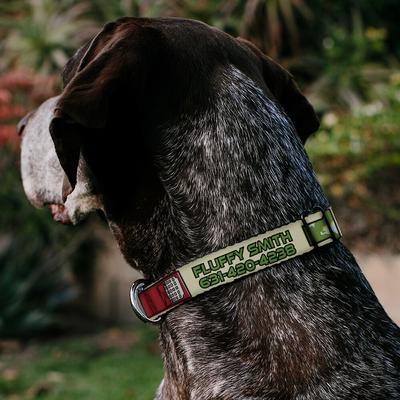 Show full view: Buckle-Down Star Wars Boba Fett Polyester Personalized Dog Collar, Large slide 3 of 7