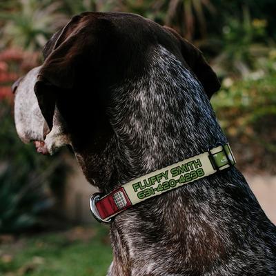 Show full view: Buckle-Down Star Wars Boba Fett Polyester Personalized Dog Collar, Medium slide 4 of 8