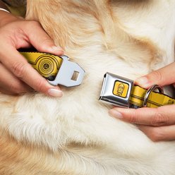 Buckle-Down Star Wars C3-PO Polyester Dog Collar, Small Wide: 13 to 18-in neck, 1.5-in wide slide 2 of 9