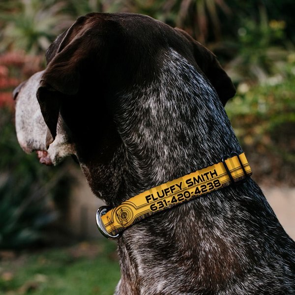 Buckle-Down Star Wars C3-PO Polyester Dog Collar