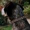 Show in main carousel: Buckle-Down Star Wars Chewbacca Polyester Personalized Dog Collar, Large slide 3 of 8
