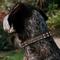 Show in main carousel: Buckle-Down Star Wars Chewbacca Polyester Personalized Dog Collar, Medium slide 3 of 8