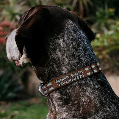 Show full view: Buckle-Down Star Wars Chewbacca Polyester Personalized Dog Collar, Medium slide 3 of 8