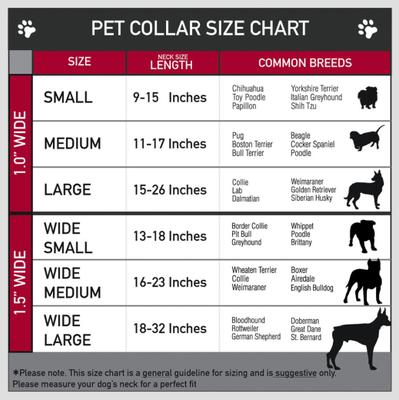 Show full view: Buckle-Down Star Wars Darth Vader Utility Belt Polyester Seatbelt Buckle Dog Collar, Large: 15 to 26-in neck, 1-in wide slide 8 of 10