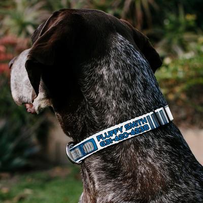 Show full view: Buckle-Down Star Wars R2-D2 Bounding Parts Personalized Dog Collar, Large slide 3 of 7