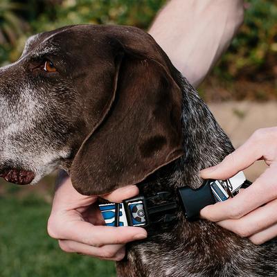 Show full view: Buckle-Down Star Wars R2-D2 Bounding Parts Personalized Dog Collar, Large slide 4 of 7