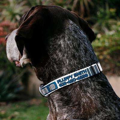 Show full view: Buckle-Down Star Wars R2-D2 Bounding Parts Personalized Dog Collar, Small slide 3 of 7