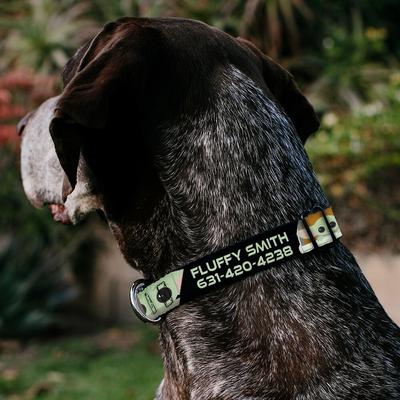 Show full view: Buckle-Down Star Wars The Child Chibi Face Blocks Polyester Personalized Dog Collar, Large slide 3 of 7