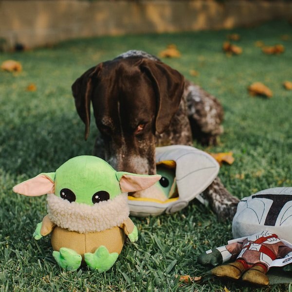Buckle-Down Star Wars the Child Plush Dog Toy