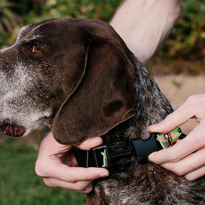 Show full view: Buckle-Down Star Wars The Child This is the Way Polyester Personalized Dog Collar, Medium slide 4 of 7