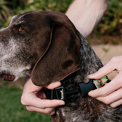 Show full view: Buckle-Down Star Wars The Child This is the Way Polyester Personalized Dog Collar, Small slide 4 of 7