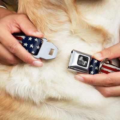 Show full view: Buckle-Down Stars & Stripes Painting Dog Collar, Large slide 3 of 10