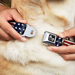 Buckle-Down Stars & Stripes Painting Dog Collar, Small slide 2 of 9