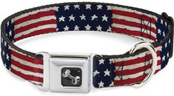 Buckle-Down Stars & Stripes Painting Dog Collar, Wide-Large