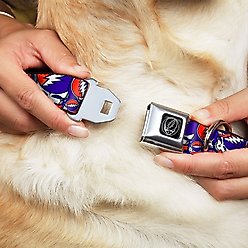 Buckle-Down Steal Your Face Dog Collar, Wide-Medium slide 2 of 9