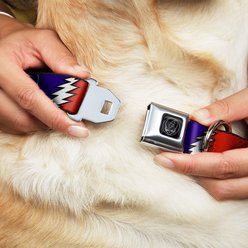 Buckle-Down Steal Your Face with Lightning Bolt Dog Collar, Wide-Large slide 2 of 9