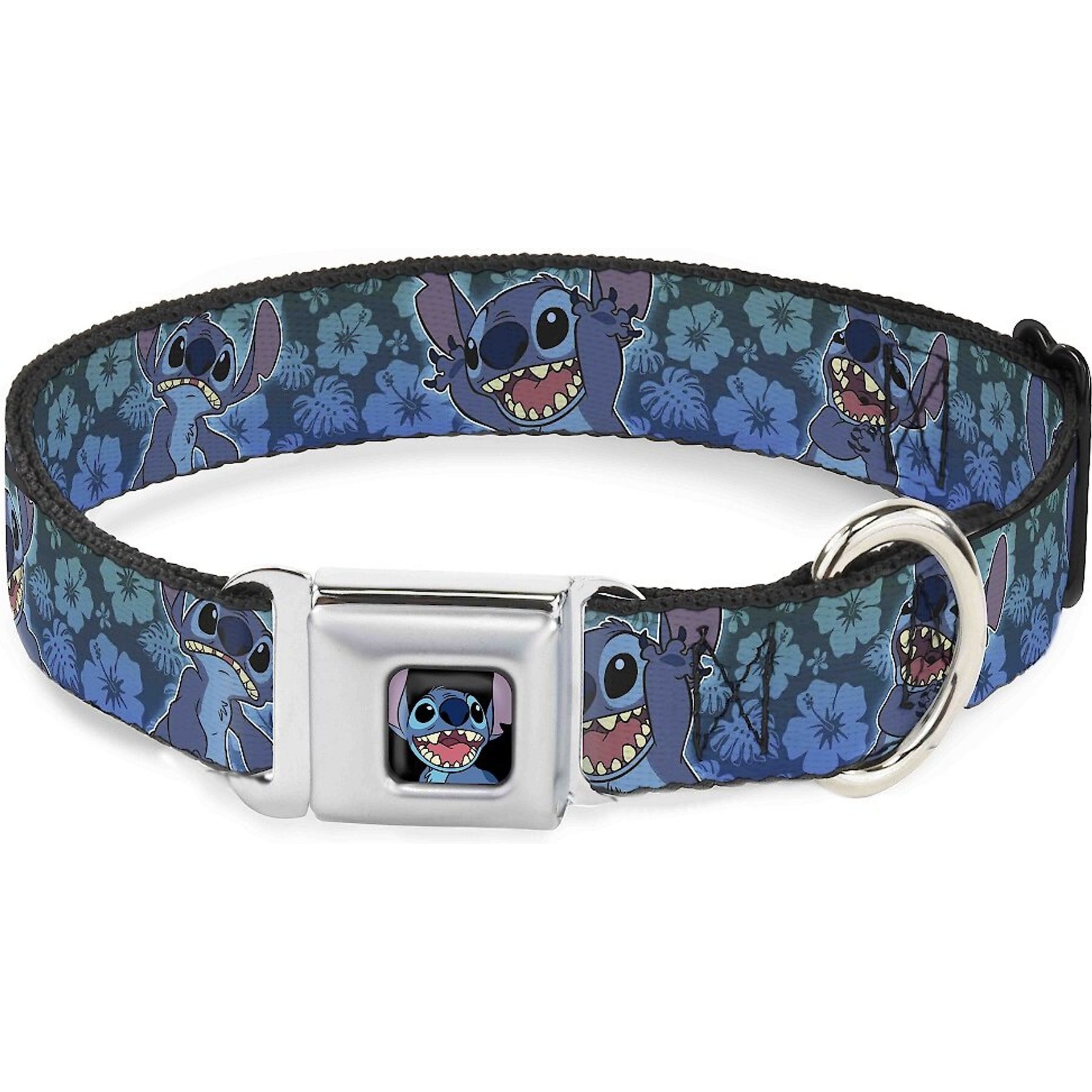 Buckle-Down Stitch Expressions Dog Collar, Wide-Medium