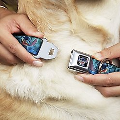 Buckle-Down Stitch Expressions Dog Collar, Wide-Medium slide 2 of 9