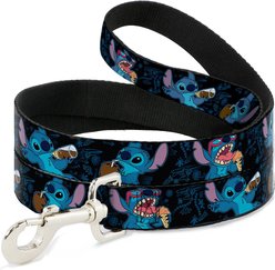 Buckle-Down Stitch Snacking Dog Leash
