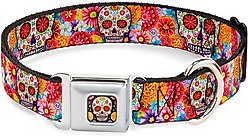 Buckle-Down Sugar Skull Starburst Dog Collar, Wide-Large