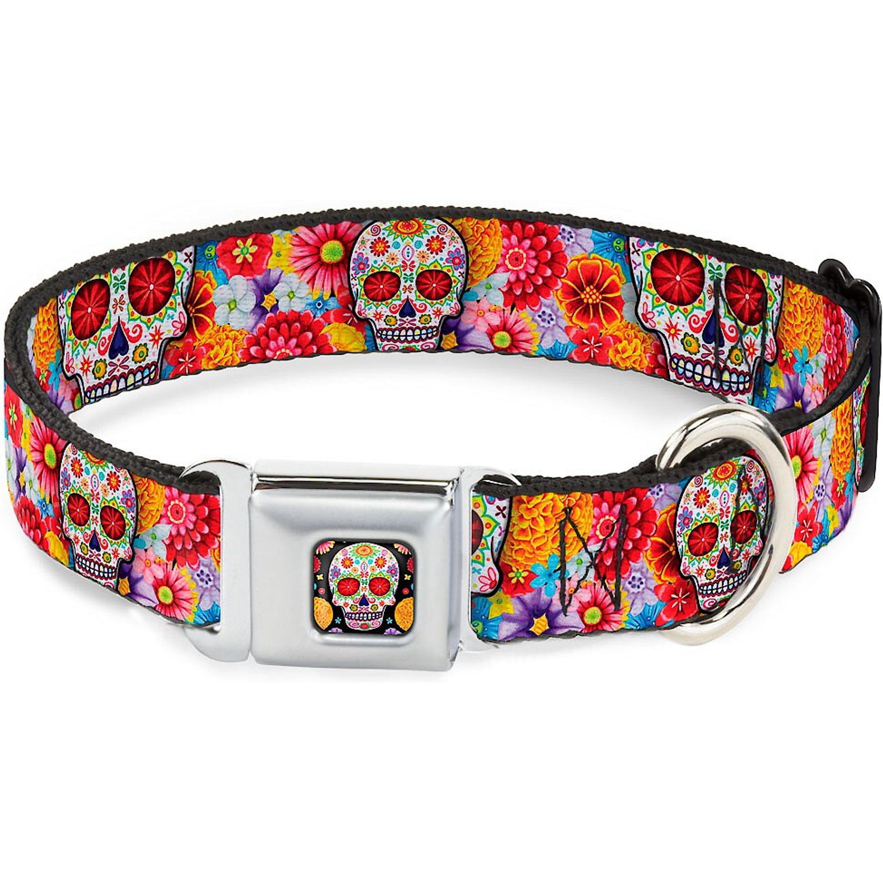 Buckle-Down Sugar Skull Starburst Dog Collar, Wide-Large