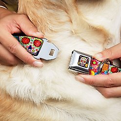 Buckle-Down Sugar Skull Starburst Dog Collar, Wide-Small slide 2 of 9