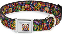 Buckle-Down Sugar Skull Starburst Polyester Dog Collar, Medium: 11 to 16.5-in neck, 1-in wide