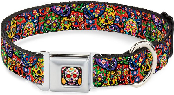 Buckle-Down Sugar Skull Starburst Dog Collar