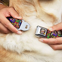 Buckle-Down Sugar Skull Starburst Polyester Dog Collar, Medium: 11 to 16.5-in neck, 1-in wide slide 2 of 9